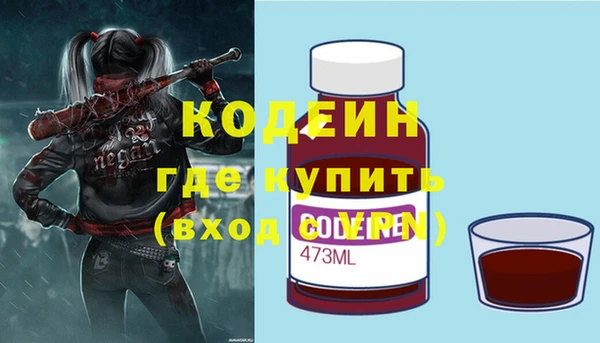 прущие грибы Абаза