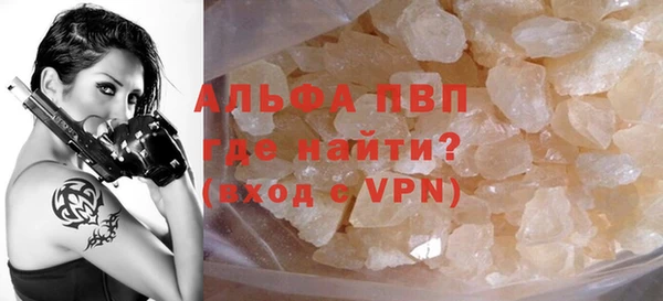 прущие грибы Абаза