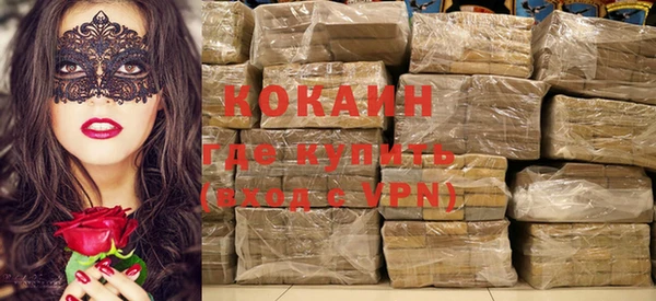 прущие грибы Абаза