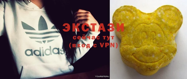 индика Осташков