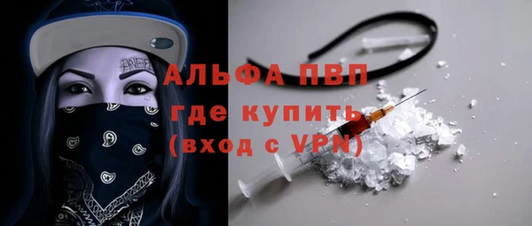 индика Осташков
