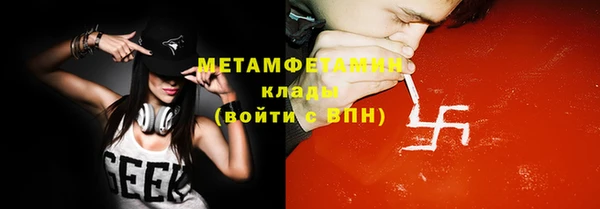 прущие грибы Абаза