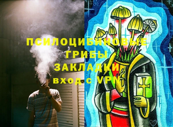 прущие грибы Абаза