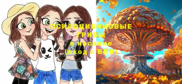 прущие грибы Абаза