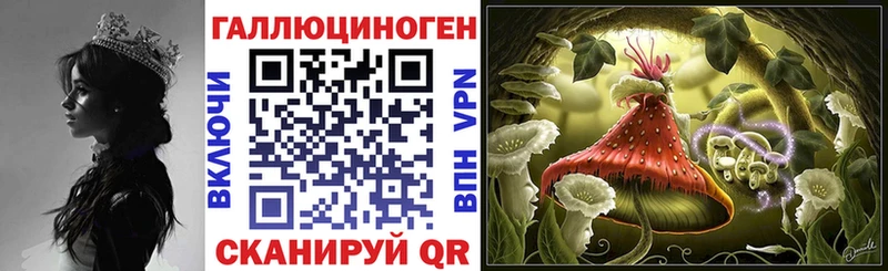 мега ссылки  Волоколамск  Галлюциногенные грибы Psilocybe 