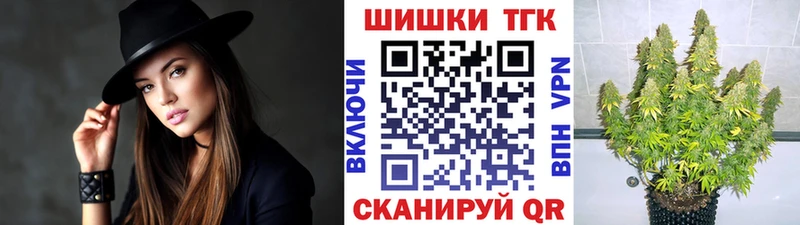 Конопля сатива Волоколамск